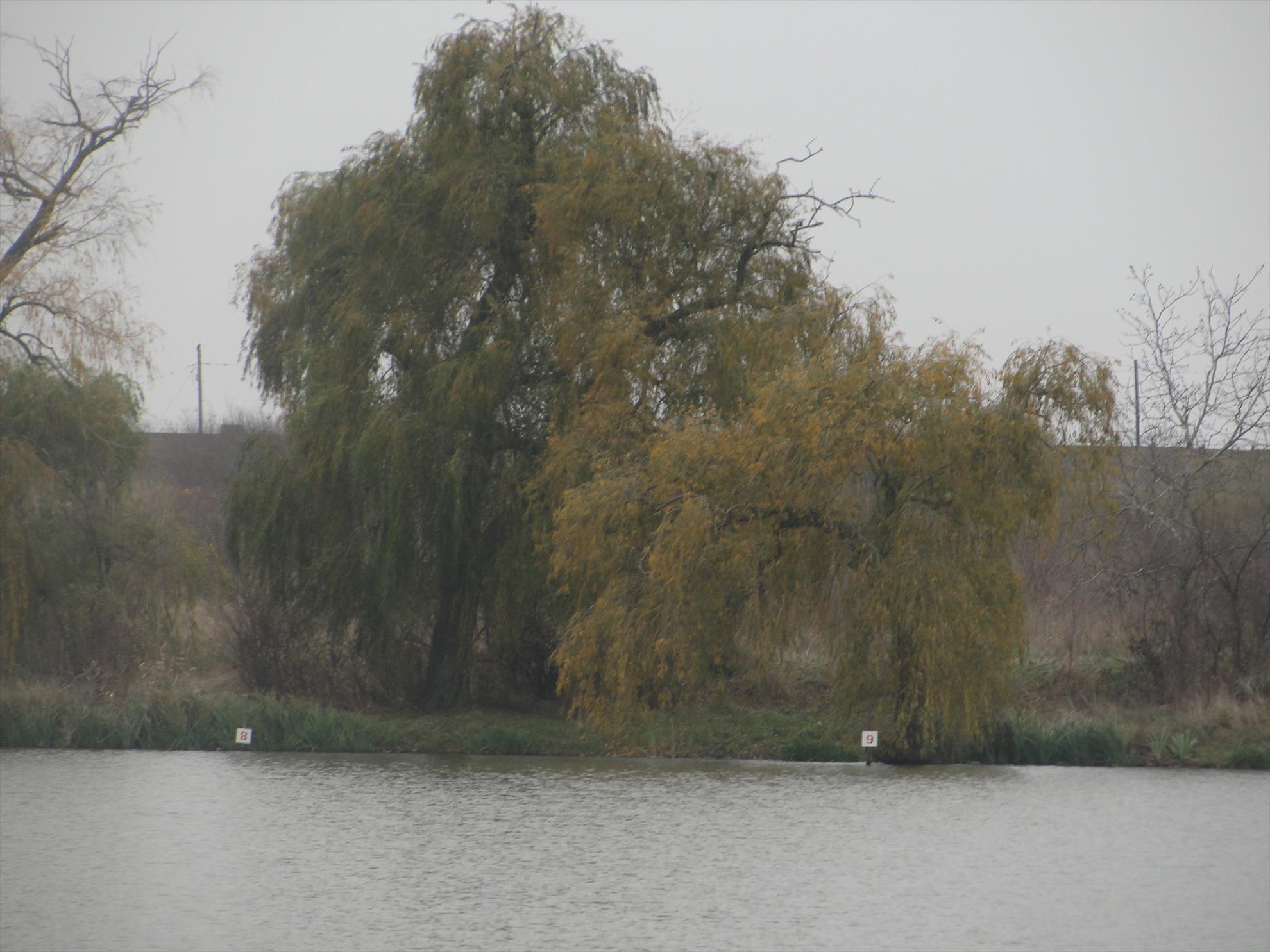 Peris (Frig si Vodka) - dsc00792.JPG